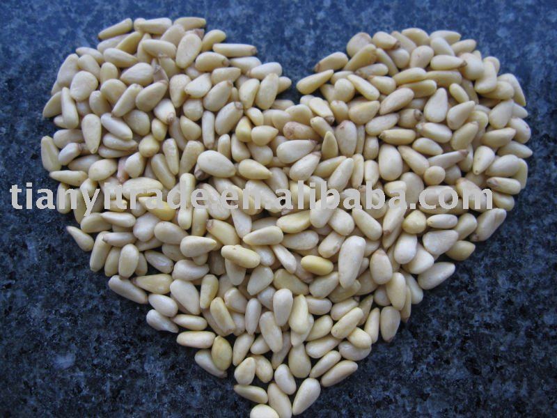 pine nut