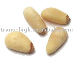 HL-Pinenut