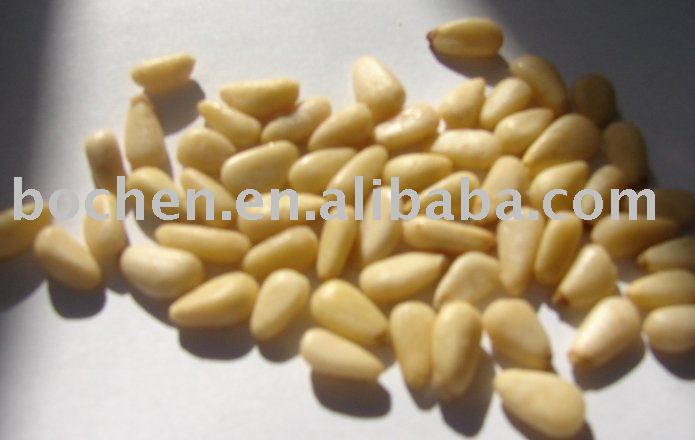 Chinese Pine Nut Kernels