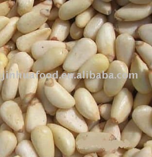 Pinenut kernel 550 or 650 account