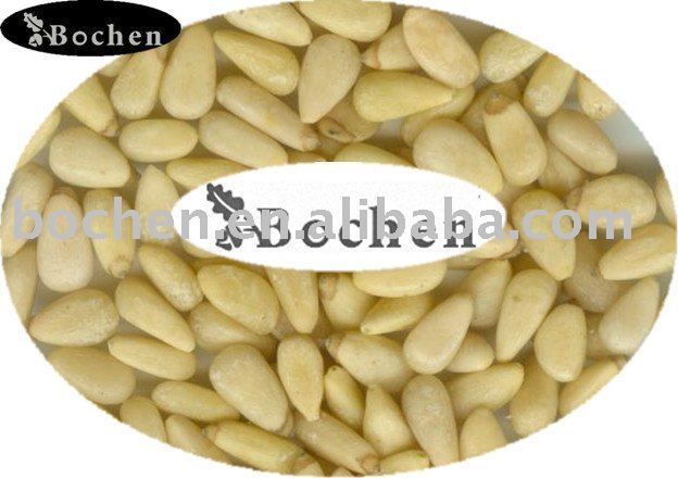 pine nut kernels