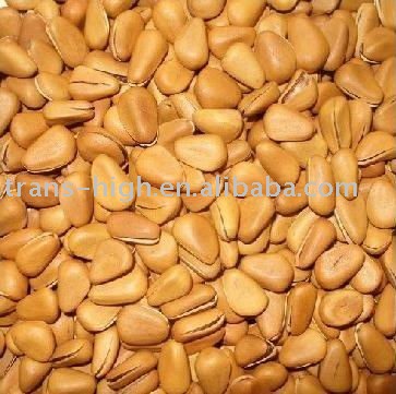 pine nut