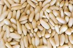 PINE NUTS