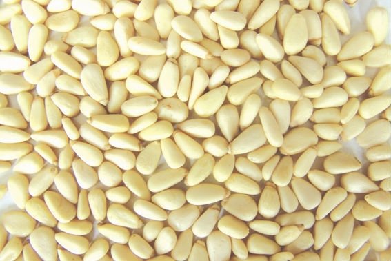 pine nuts kernels