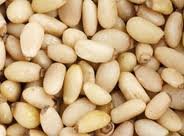Roasted cand Non Roasted Pine Nuts