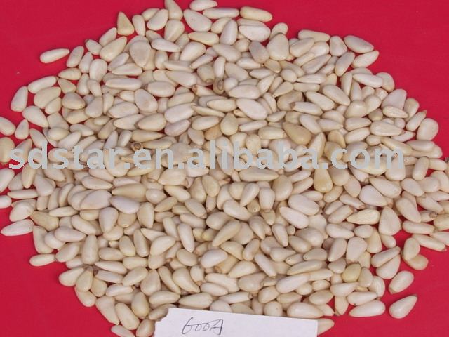 pine nut kernel