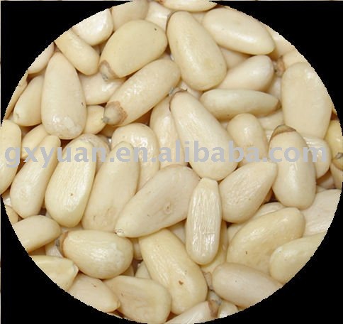 chinese pine nut kernels