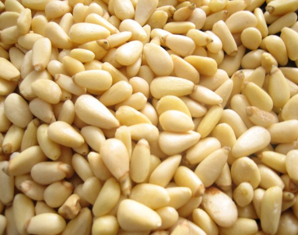 Pine Nut Kernels