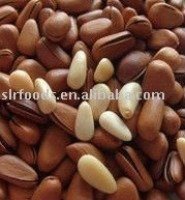 ROASTED PINE NUTS READY FOR SUPPLY