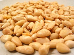 PINE NUTS at affordable prices