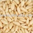 Pine Nuts