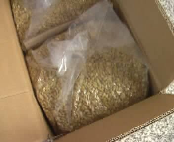 Pine Nut
