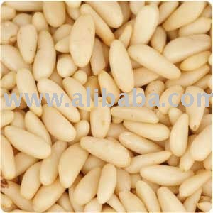  Pine   Nuts 