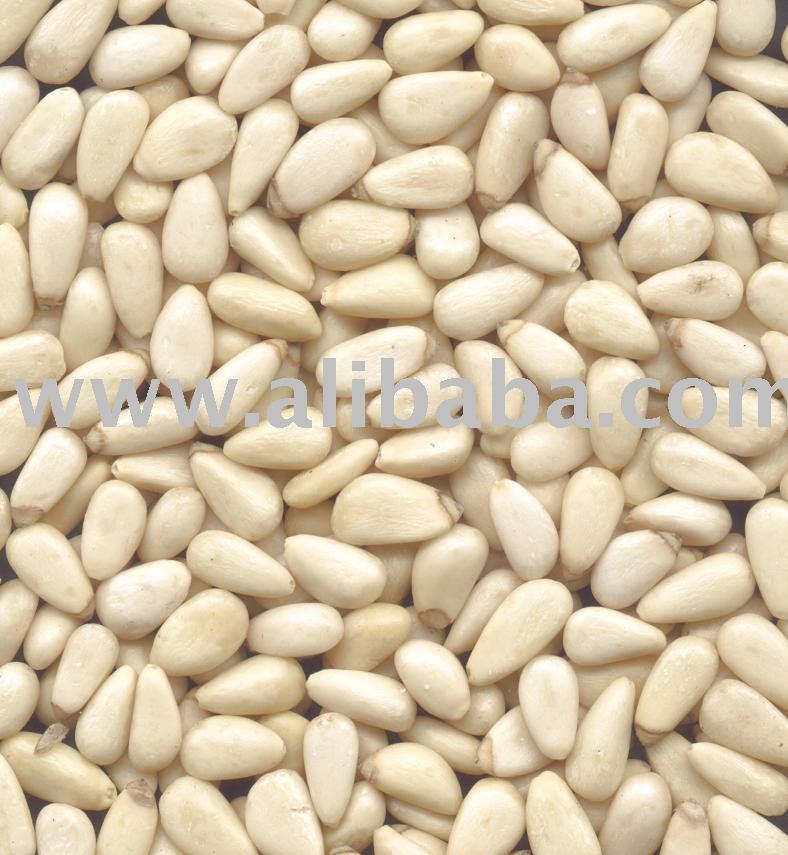Pine Nut kernels