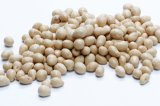 Pine nuts and Kennels with other nuts
