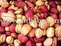 Kola nut Coconut Chestnuts Palm fern and zamia nuts