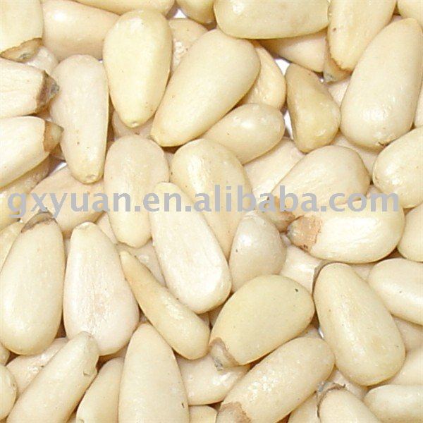 chinese pine nuts
