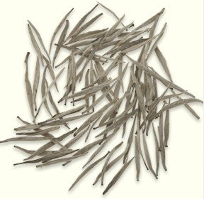 Silver Needles White Tea