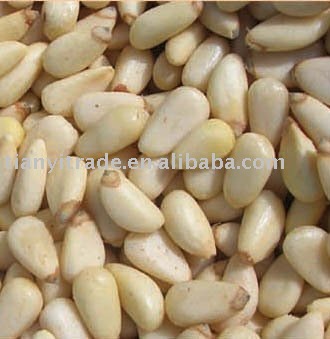  pine   nuts / pine  nuts 