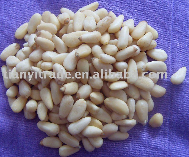 Pine nuts/pinenut