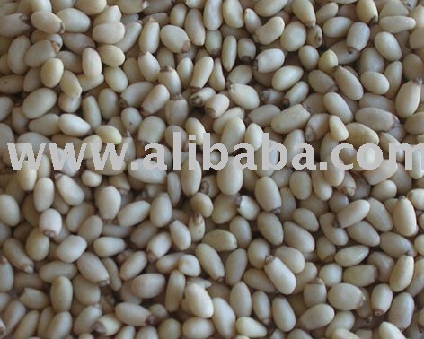 Pine nut Kernels (950-1300count)