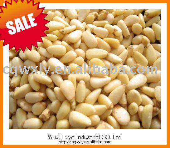 HOT!! new arrived Grade A  Armand pine nut