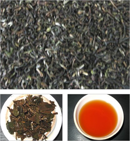 SINGBULLI  tea