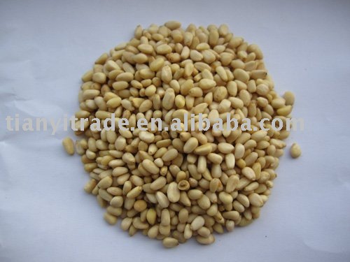 cedar pine nuts
