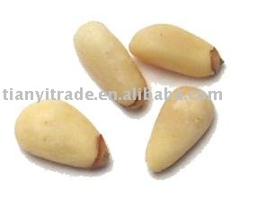 Chinese pine nuts/pinenuts