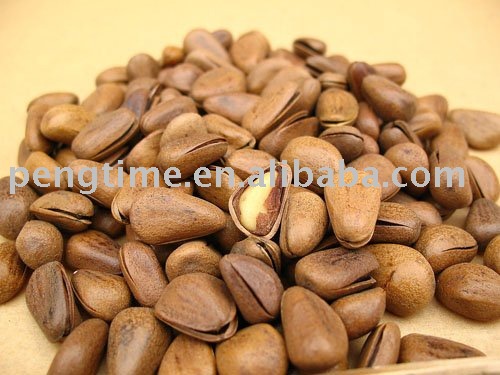 pine seeds
