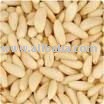 PINE NUTS AND OTHER NUTS SPECIES FOR SALE