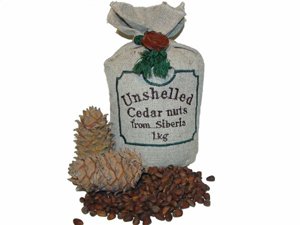 Unshelled Pine Nuts   The Ringing Cedars Of Russia  