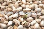 PISTACHIO  NUTS AND OTHER NUTS SPECIES FOR SALE