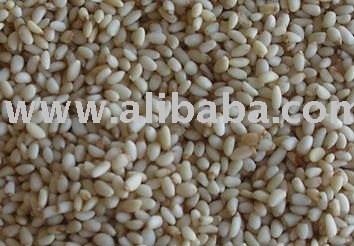 Small Pine nut Kernrels (4000-6000 count and up)