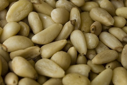 PINE NUTS
