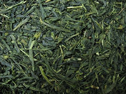 japanese style sencha
