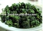 Tie Kuan Yin Tea ,health  tea