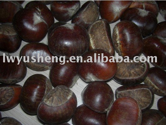 new chestnuts