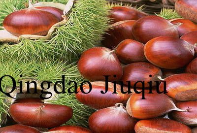 organic raw chestnuts