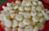 Canned Water Chestnuts