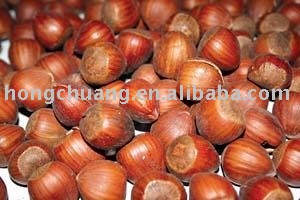 Chinese chestnuts