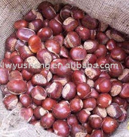 Chestnut