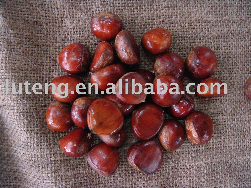 Fresh Chestnut