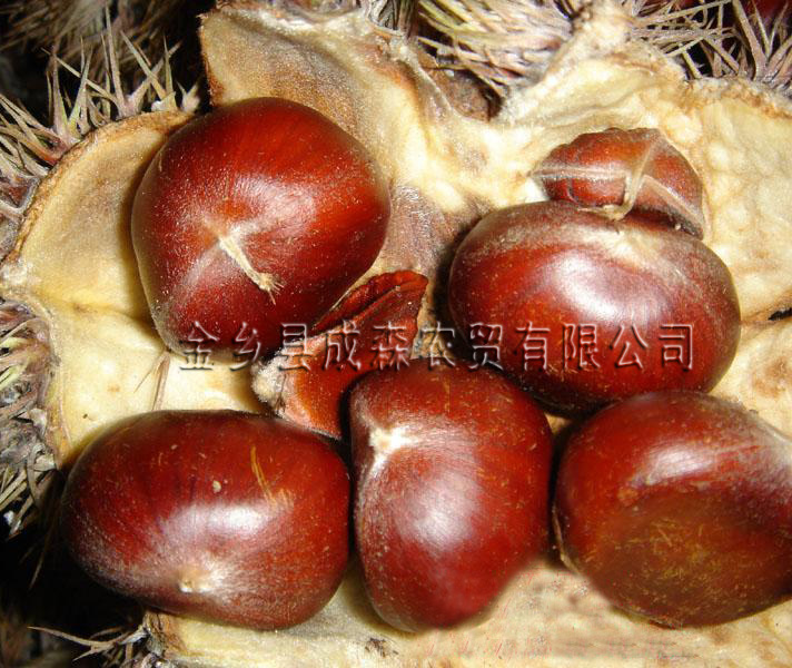 Chestnuts