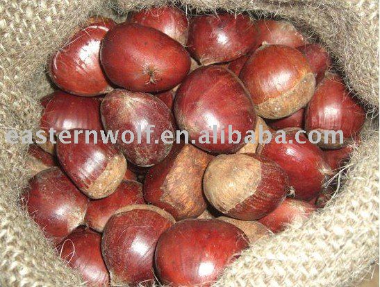 China Fresh Chestnut