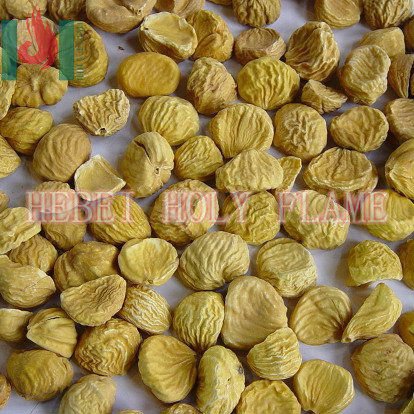Dried sweet Chestnuts