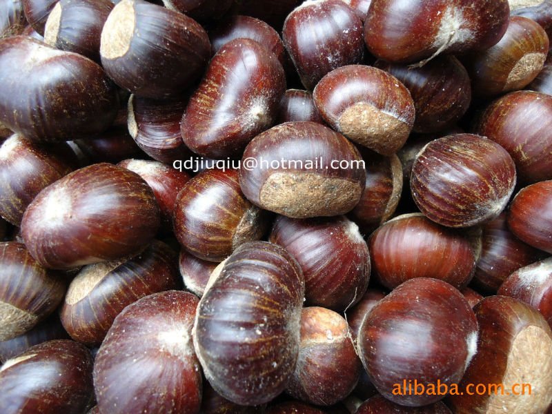 canned water chestnuts