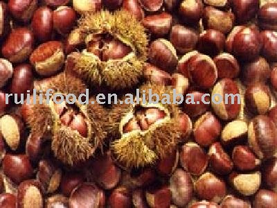 2010 new crop , fresh chestnut are on market