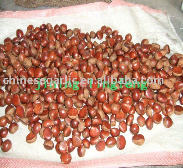 2010 Chestnut