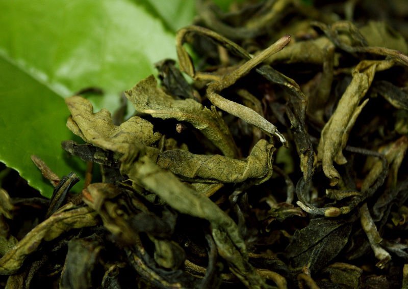 Wild tea